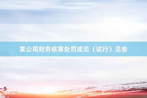某公司财务核算处罚成见(试行)见告